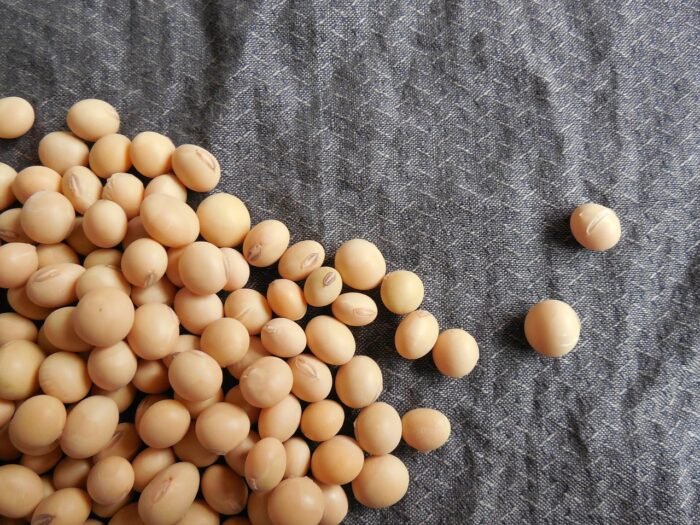 Soy Protein: What Is It, Why We Need It And Best Food Sources